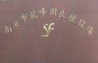 南安市洪瀨龍峰園農場(chǎng)