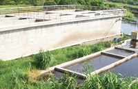 南安市協(xié)興良種養殖有限公司