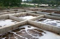 南安市石井院盛養殖有限公司