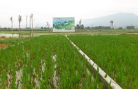 南安市康美鎮園內村A區/ 南安市康美鎮園內村B區